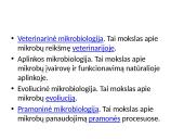 Mikrobiologija skaidrės 7 puslapis
