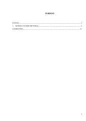 Konsultavimo metodas 2 puslapis