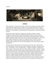Lietuviški Kūčių ir Kalėdų papročiai 8 puslapis