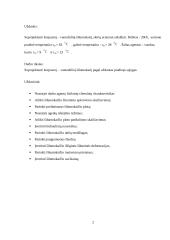 Vamzdelinio šilumokaičio projektavimas 2 puslapis