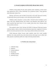 Pažintinės praktikos ataskaita Pasvalio apylinkės teisme 15 puslapis