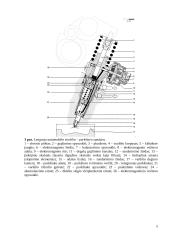 Kompaktinė kuro įpurškimo sistema 5 puslapis