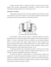 Kontrolės ir matavimo prietaisai 6 puslapis
