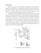 Kontrolės ir matavimo prietaisai 10 puslapis