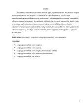 Lengvųjų automobilių vairo sistemos 2 puslapis