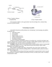 Lengvųjų automobilių vairo sistemos 12 puslapis