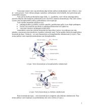 Lengvųjų automobilių vairo sistemos 5 puslapis