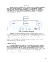 Lengvųjų automobilių vairo sistemos 6 puslapis