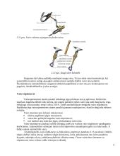 Lengvųjų automobilių vairo sistemos 9 puslapis
