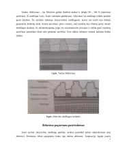 Šlifavimo medžiagos 7 puslapis