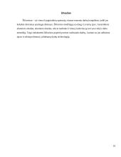 Šlifavimo medžiagos 10 puslapis