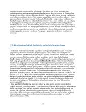 Pedagogo bendravimas su vaikais - psichologinis aspektas 7 puslapis