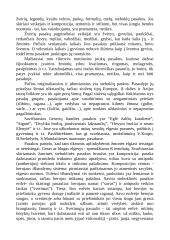 Lietuvių grožinės literatūros analizės konspektai 17 puslapis