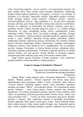 Lietuvių grožinės literatūros analizės konspektai 18 puslapis