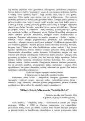 Lietuvių grožinės literatūros analizės konspektai 19 puslapis