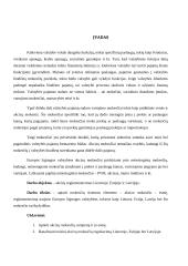 Akcizų reglamentavimas Lietuvoje, Estijoje ir Latvijoje 3 puslapis