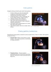 Automobilių uždegimo žvakės 11 puslapis