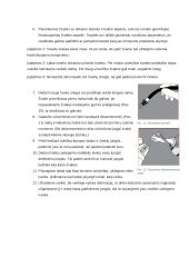 Automobilių uždegimo žvakės 8 puslapis