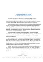 Autoserviso projektas 20 puslapis