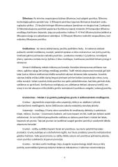 Autoserviso projektas 5 puslapis