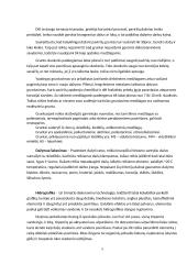 Autoserviso projektas 6 puslapis