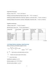 Autoserviso projektas 10 puslapis