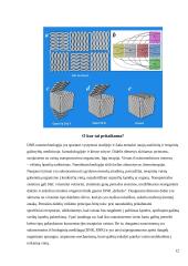 Bionanotechnologijos gyvoje gamtoje ir technologijose 12 puslapis