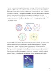 Bionanotechnologijos gyvoje gamtoje ir technologijose 13 puslapis