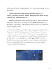 Bionanotechnologijos gyvoje gamtoje ir technologijose 19 puslapis