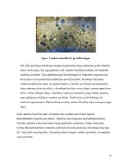 Bionanotechnologijos gyvoje gamtoje ir technologijose 20 puslapis