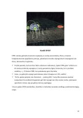 Bionanotechnologijos gyvoje gamtoje ir technologijose 10 puslapis