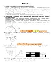 Pasiruošimas egzaminui Fizika 1 puslapis