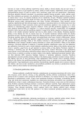 Ikiteisminio tyrimo stadijos 11 puslapis