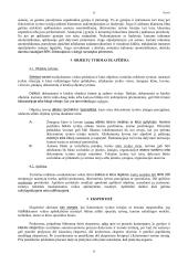 Ikiteisminio tyrimo stadijos 13 puslapis