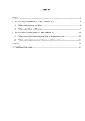 Vidaus auditas: reikšmė, tikslai, reglamentavimas 2 puslapis