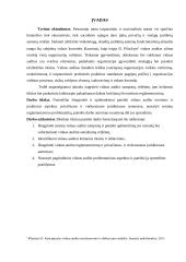 Vidaus auditas: reikšmė, tikslai, reglamentavimas 3 puslapis