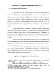 Vidaus auditas: reikšmė, tikslai, reglamentavimas 4 puslapis