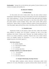 Akies ydos ir korekcija. Regos tyrimai 11 puslapis