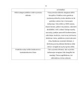 Praktikos ataskaita kelionių agentūroje 12 puslapis