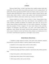 Praktikos ataskaita kelionių agentūroje 3 puslapis