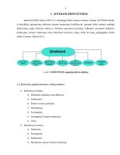 Praktikos ataskaita kelionių agentūroje 5 puslapis