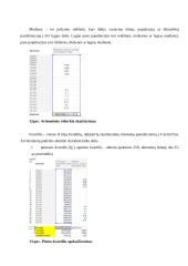 Tiesioginės užsienio investicijos - statistinis tyrimas 18 puslapis