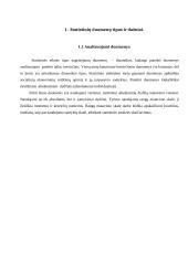 Tiesioginės užsienio investicijos - statistinis tyrimas 4 puslapis