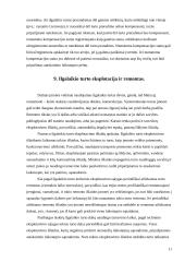 Ilgalaikis turtas kursinis darbas 11 puslapis