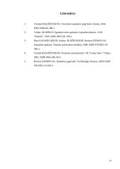 Ilgalaikis turtas kursinis darbas 15 puslapis