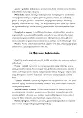 Ilgalaikis turtas kursinis darbas 4 puslapis