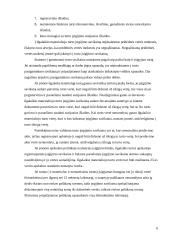 Ilgalaikis turtas kursinis darbas 6 puslapis