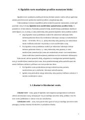 Ilgalaikis turtas kursinis darbas 7 puslapis