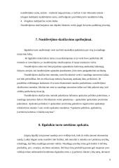 Ilgalaikis turtas kursinis darbas 9 puslapis