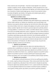 Ilgalaikis turtas kursinis darbas 10 puslapis